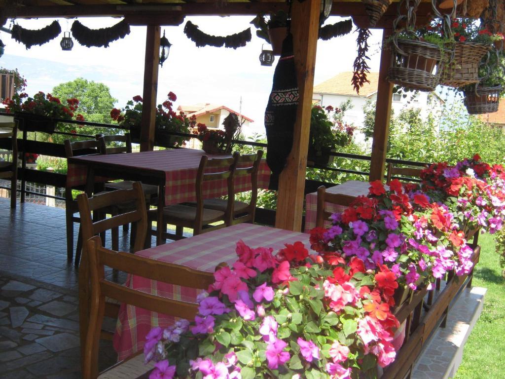 Risto'S Guest House Elshani Exteriér fotografie