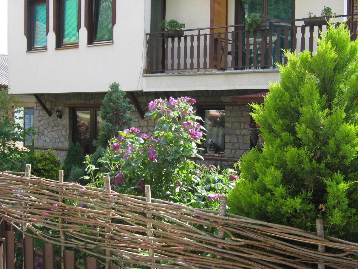 Risto'S Guest House Elshani Exteriér fotografie