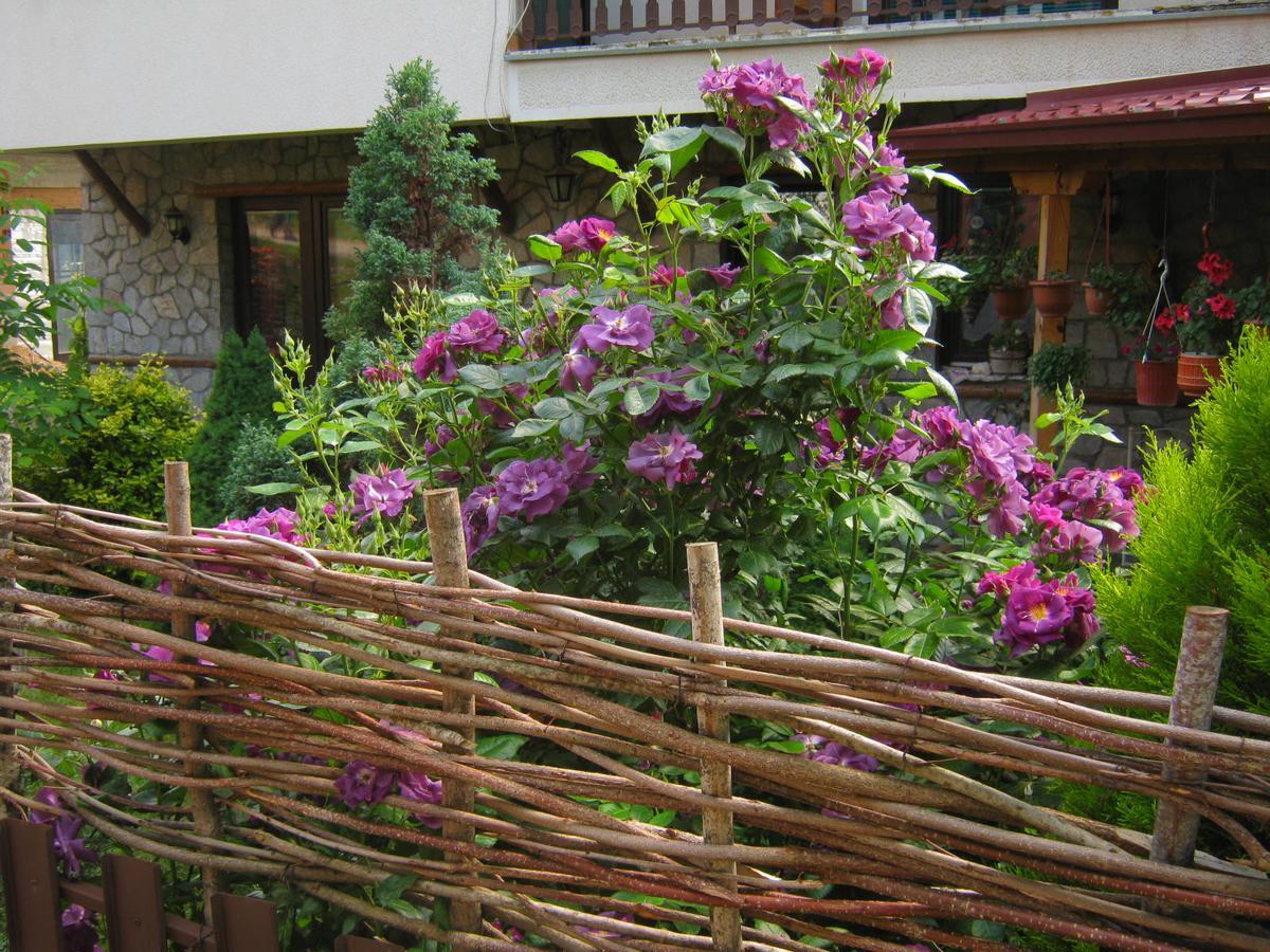 Risto'S Guest House Elshani Exteriér fotografie