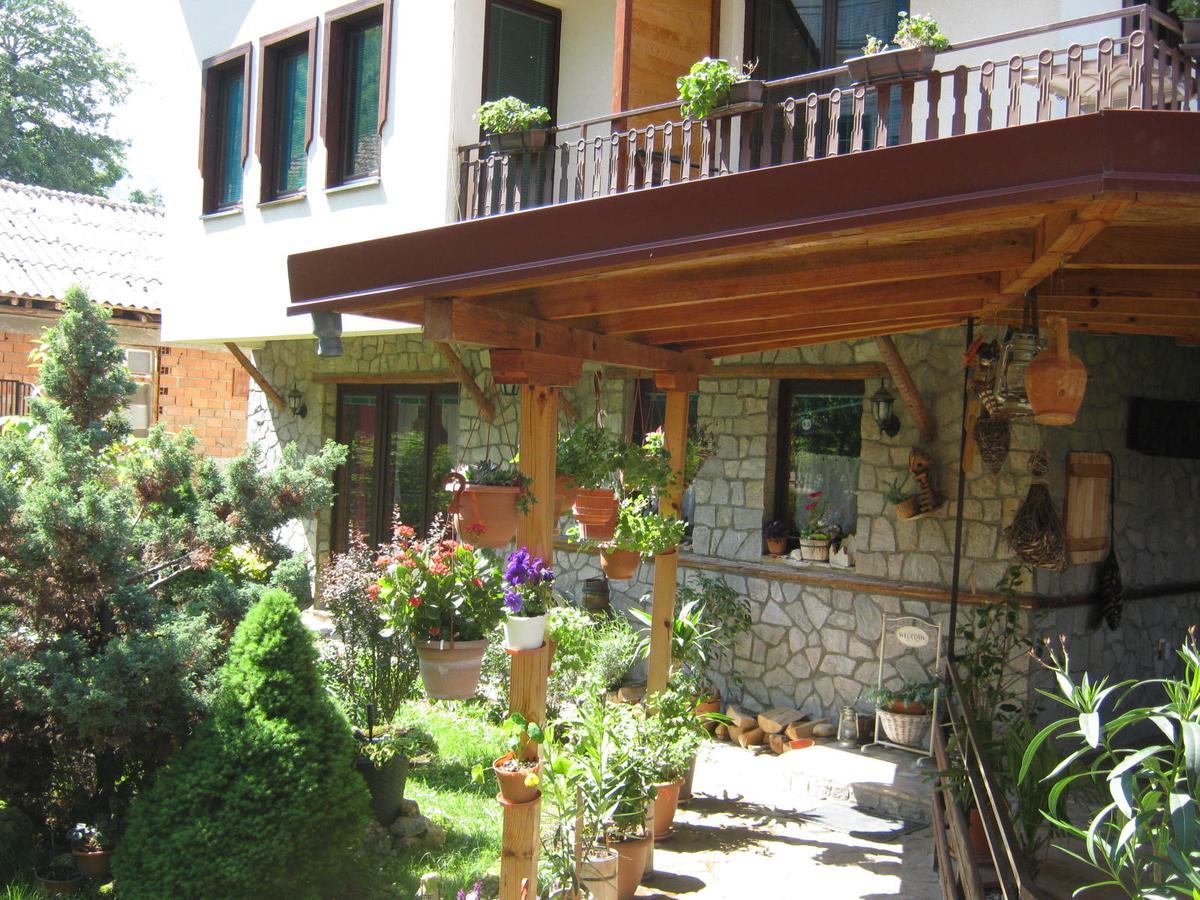 Risto'S Guest House Elshani Exteriér fotografie